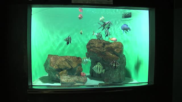 葛西臨海水族園公式サイト 東京ズーネット