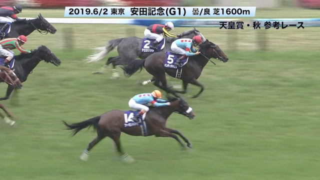 天皇賞 秋 G1 出馬表 19年10月27日 東京11r レース情報 Jra Netkeiba Com