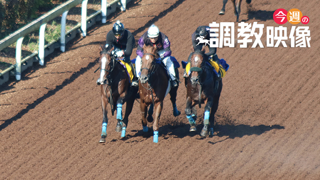 日本ダービー特集 Netkeiba Com 競馬予想 結果 速報 オッズ 出馬表 出走予定馬 騎手 払戻など競馬最新情報